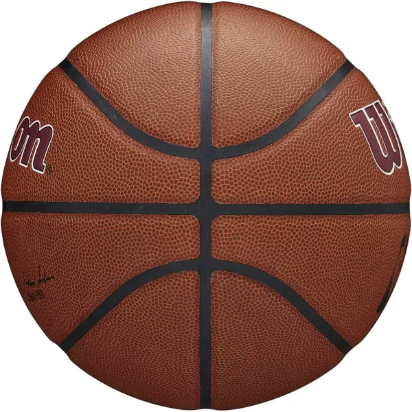 WILSON NBA Alliance Series Basketballs - Team Logo Basketballs - 29.5" and Mini Sizes