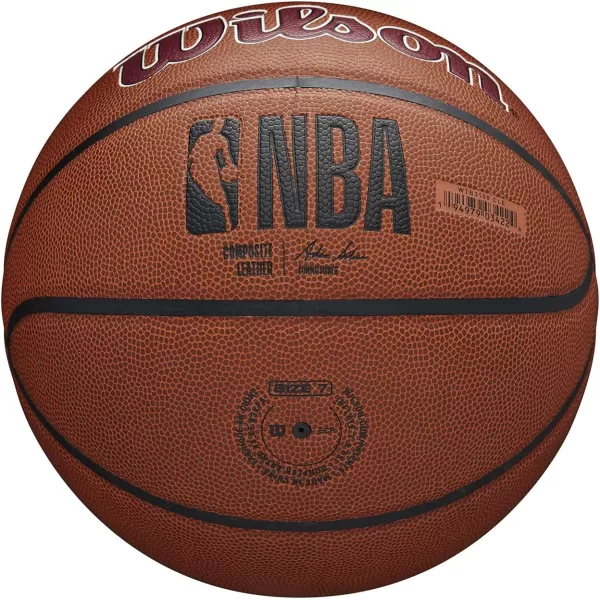 WILSON NBA Alliance Series Basketballs - Team Logo Basketballs - 29.5" and Mini Sizes