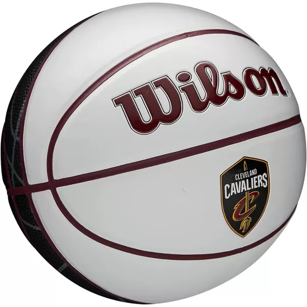 WILSON NBA Alliance Series Basketballs - Team Logo Basketballs - 29.5" and Mini Sizes