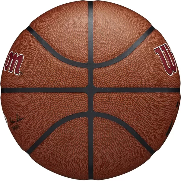 WILSON NBA Alliance Series Basketballs - Team Logo Basketballs - 29.5" and Mini Sizes