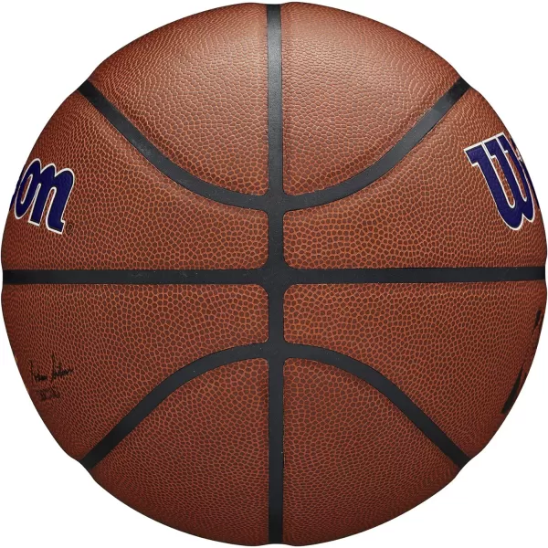 WILSON NBA Alliance Series Basketballs - Team Logo Basketballs - 29.5" and Mini Sizes