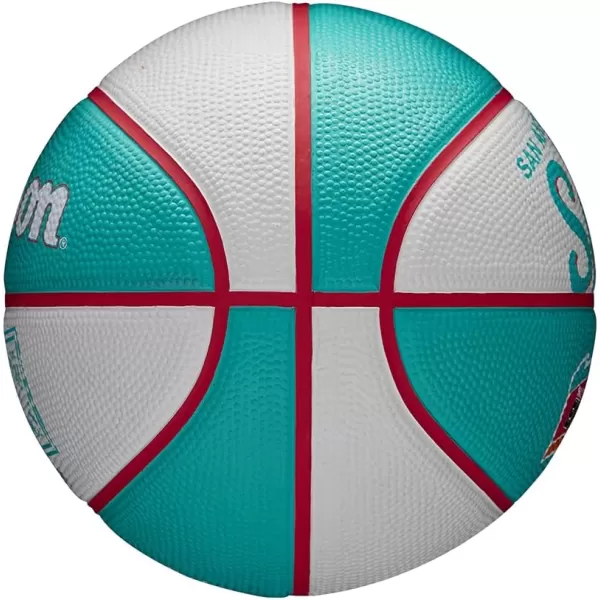 WILSON NBA Alliance Series Basketballs - Team Logo Basketballs - 29.5" and Mini Sizes
