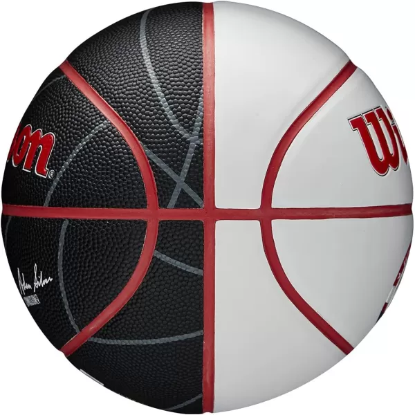 WILSON NBA Alliance Series Basketballs - Team Logo Basketballs - 29.5" and Mini Sizes