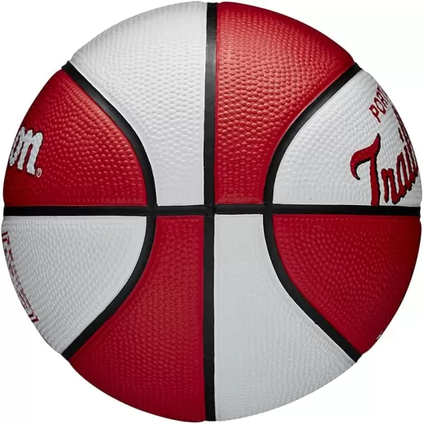 WILSON NBA Alliance Series Basketballs - Team Logo Basketballs - 29.5" and Mini Sizes