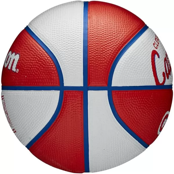 WILSON NBA Alliance Series Basketballs - Team Logo Basketballs - 29.5" and Mini Sizes
