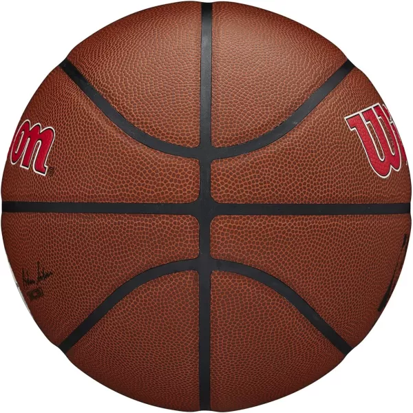 WILSON NBA Alliance Series Basketballs - Team Logo Basketballs - 29.5" and Mini Sizes
