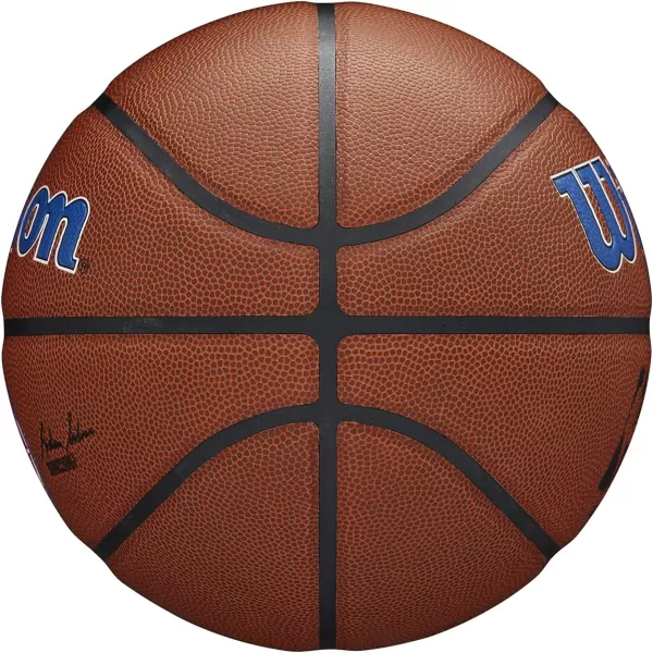 WILSON NBA Alliance Series Basketballs - Team Logo Basketballs - 29.5" and Mini Sizes