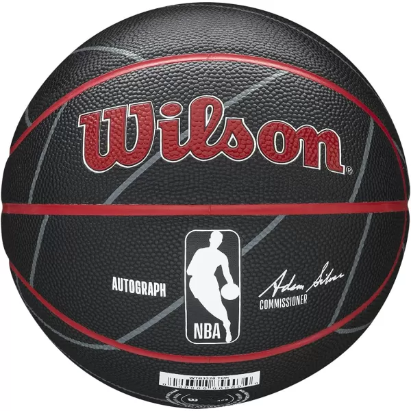 WILSON NBA Alliance Series Basketballs - Team Logo Basketballs - 29.5" and Mini Sizes