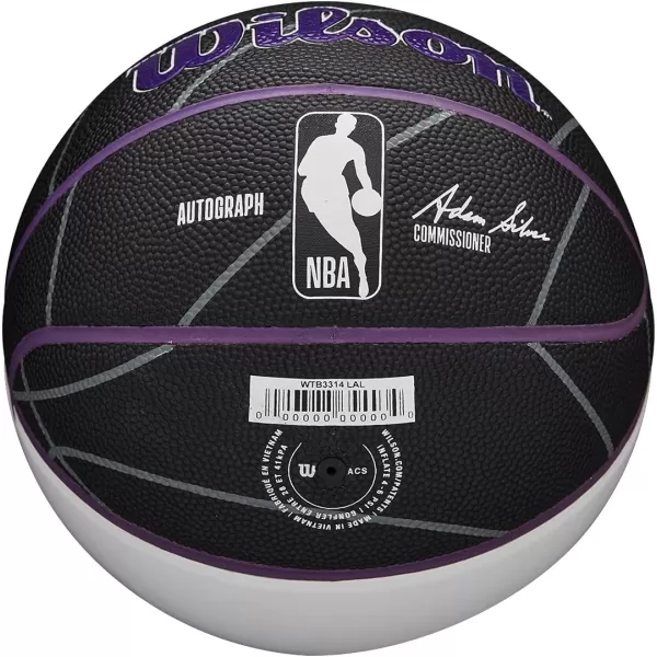 WILSON NBA Alliance Series Basketballs - Team Logo Basketballs - 29.5" and Mini Sizes