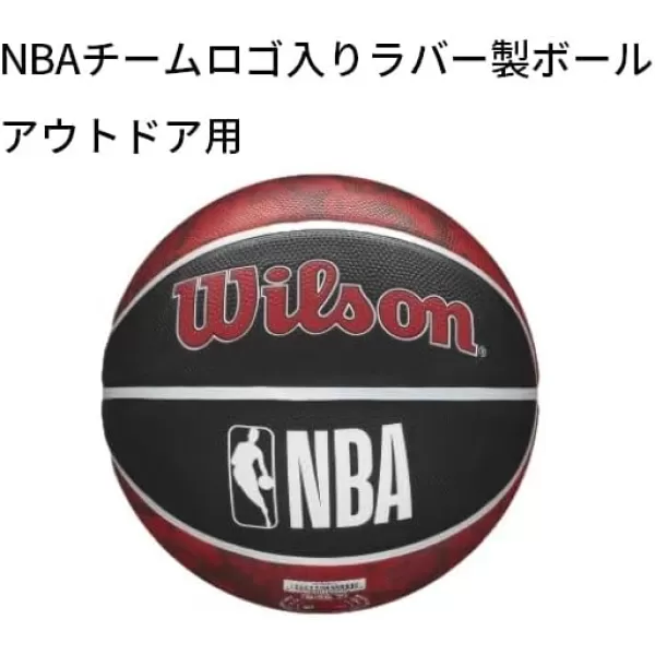 WILSON NBA Alliance Series Basketballs - Team Logo Basketballs - 29.5" and Mini Sizes