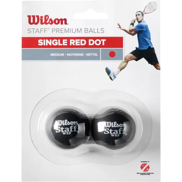 WILSON Staff Squash Balls)