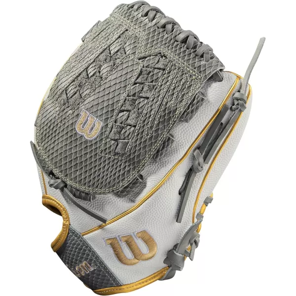 Wilson A2000 Fastpitch Glove Series