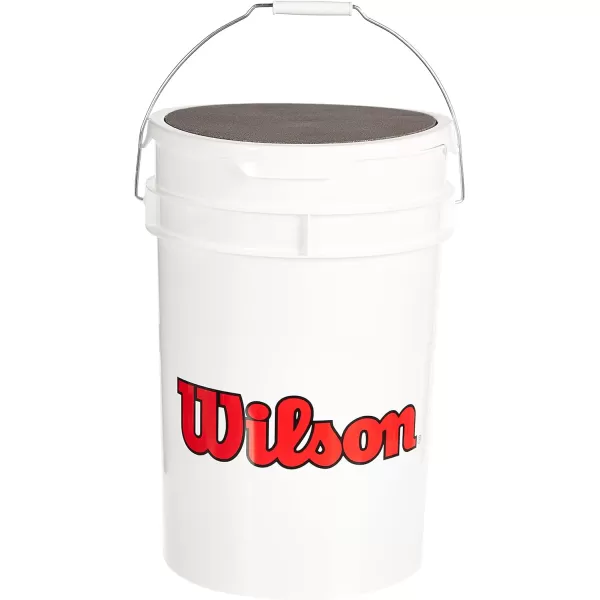 Wilson Champion Series Baseballs
