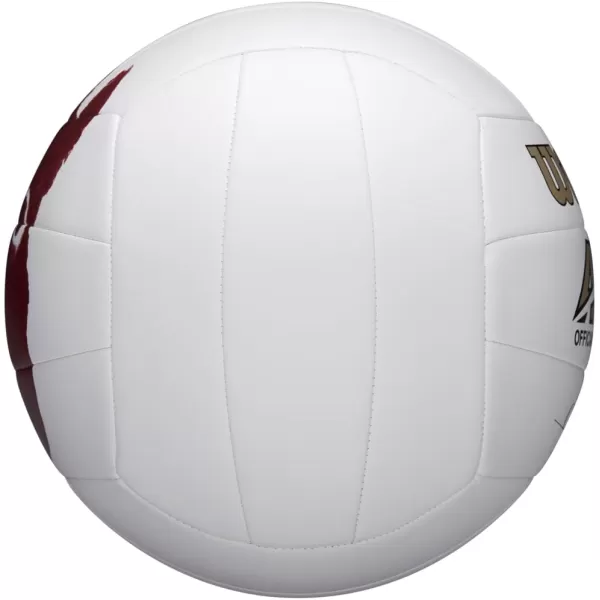 WILSON Cast Away Volleyballs - Mini and Official Size