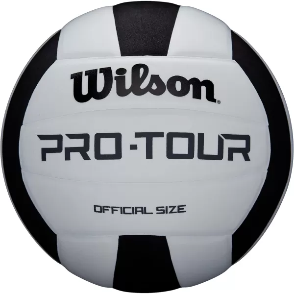WILSON Indoor Recreational Volleyballs - Official Size