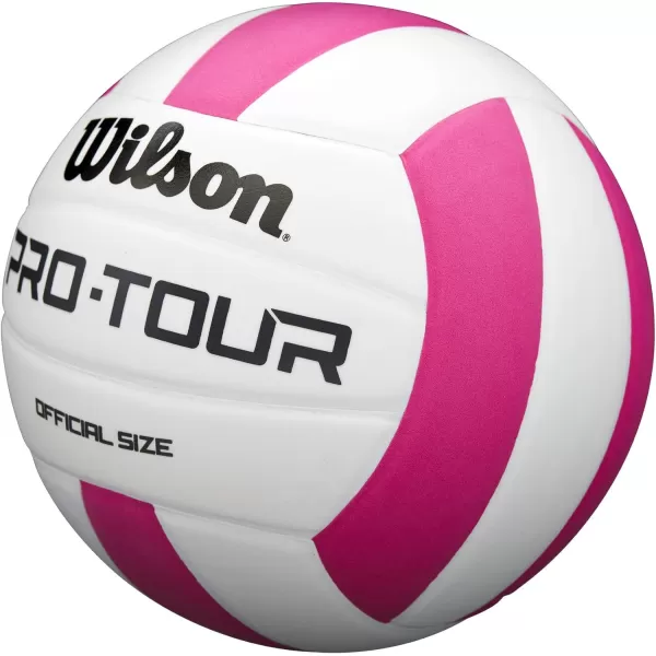 WILSON Indoor Recreational Volleyballs - Official Size
