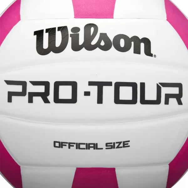 WILSON Indoor Recreational Volleyballs - Official Size