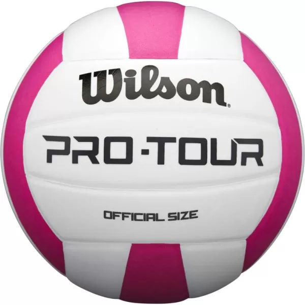 WILSON Indoor Recreational Volleyballs - Official Size