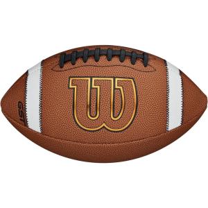 imageWILSON GST Composite Footballs  Tankids size