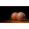 image:imageWILSON Emirates NBA Cup Official Game Basketball  Size 7 Brown