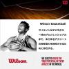 image:imageWILSON NBA Authentic Series Indoor BasketballsSize 7  295