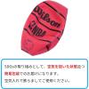 image:imageWILSON NBA DRV Series BasketballRed