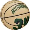 image:imageWILSON NBA Player Icon Basketballs  Size 3 and Size 7Giannis Antetokounmpo