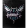 image:imageWILSON NBA Team Premiere Basketballs  Size 7295Charlotte Hornets