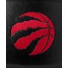 image:imageWILSON NBA Team Premiere Basketballs  Size 7295Toronto Raptors