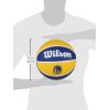 image:imageWILSON NBA Team Tribute Basketballs  Size 7295Golden State Warriors