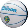 image:imageWILSON WNBA Team Autograph Series Mini BasketballChicago Sky