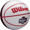 image:imageWILSON WNBA Team Autograph Series Mini BasketballWashington Mystics