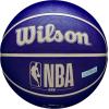 image:imageWilson NBA DRV Outdoor Basketball with PumpIndigoBeige