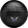 Charlotte Hornets