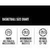 image:imageWILSON Autograph Basketball  NCAA and NonNCAA 295 and MiniNCAA Autograph