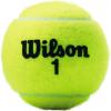 image:imageWILSON Championship Tennis BallsExtra Duty