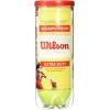 image:imageWILSON Championship Tennis BallsExtra Duty