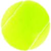 image:imageWILSON Championship Tennis BallsExtra Duty