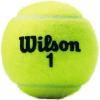 image:imageWILSON Championship Tennis BallsRegular Duty