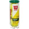 image:imageWILSON Championship Tennis BallsRegular Duty