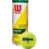 image:imageWILSON Championship Tennis BallsRegular Duty