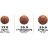 image:imageWILSON NCAA Evo NXT Official Indoor Game Basketballs  Sizes 6 and 7Caitlin Clark 3951