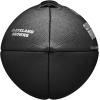 image:imageWILSON NFL Team Metallic Premiere Footballs  Official SizeCleveland Browns