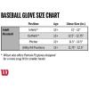 image:imageWilson 2021 A360 Youth Baseball GloveSilver