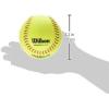 image:imageWilson A9106 12 ASA Championship Series Synthetic SST Softball 1 Dozen12Inch Pack of 3