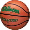 image:imageWilson Evolution BasketballsGreenBrown
