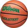 image:imageWilson Evolution BasketballsGreenBrown