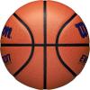 image:imageWilson Evolution BasketballsNavyBrown