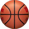 image:imageWilson Evolution BasketballsScarletBrown