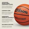 image:imageWilson Evolution BasketballsUSA